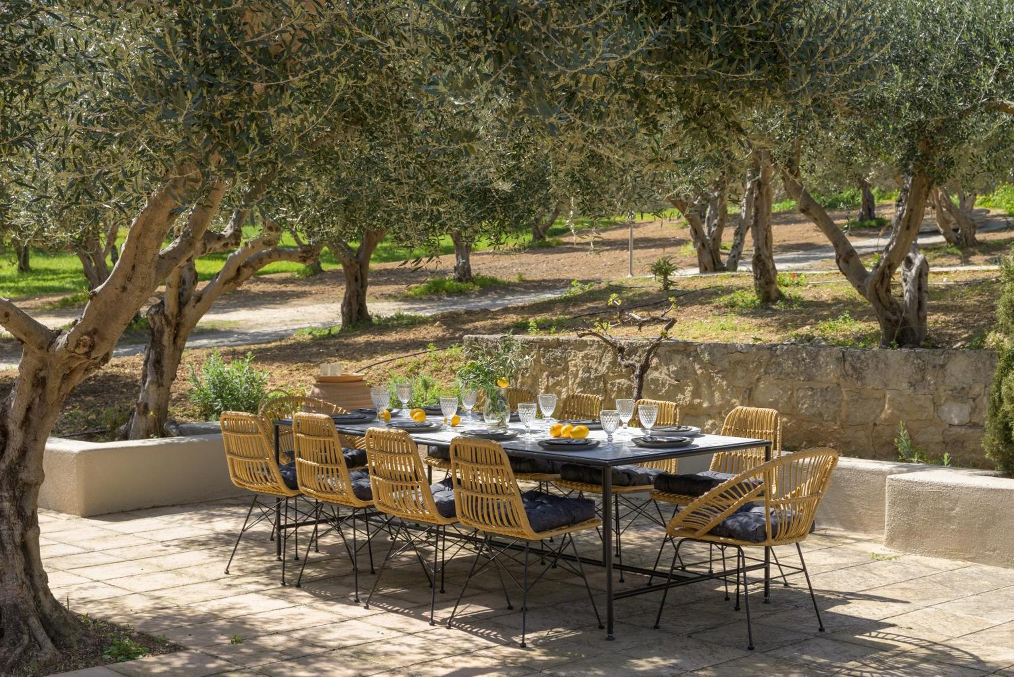 The Olive Grove Villas With Swimming Pool And Breakfast 阿卡尼斯 外观 照片