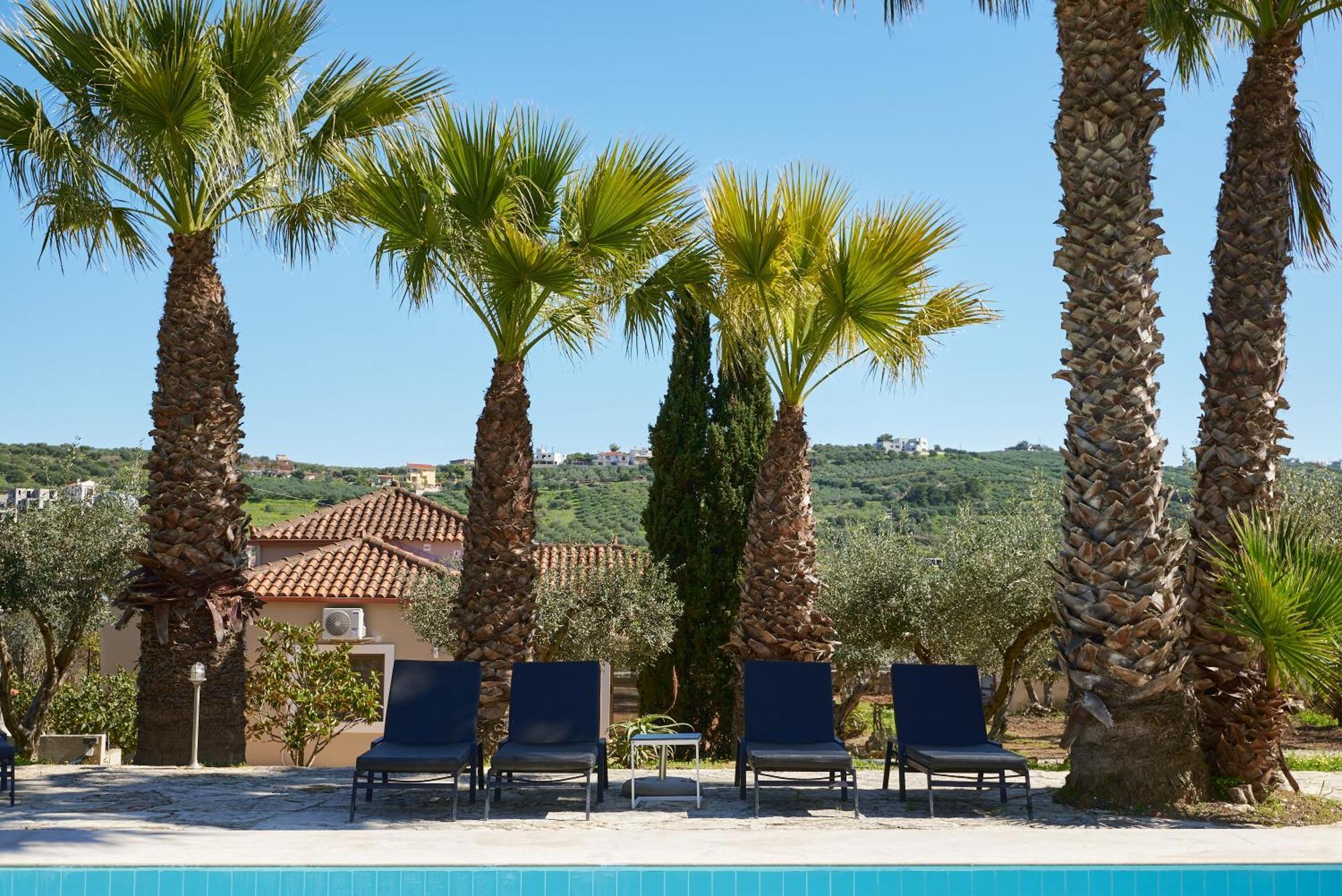 The Olive Grove Villas With Swimming Pool And Breakfast 阿卡尼斯 外观 照片